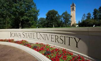 Eight teaching-based projects selected for Miller fellowships